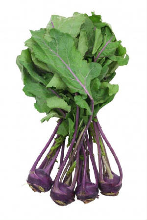 garden/kohlrabi.JPG